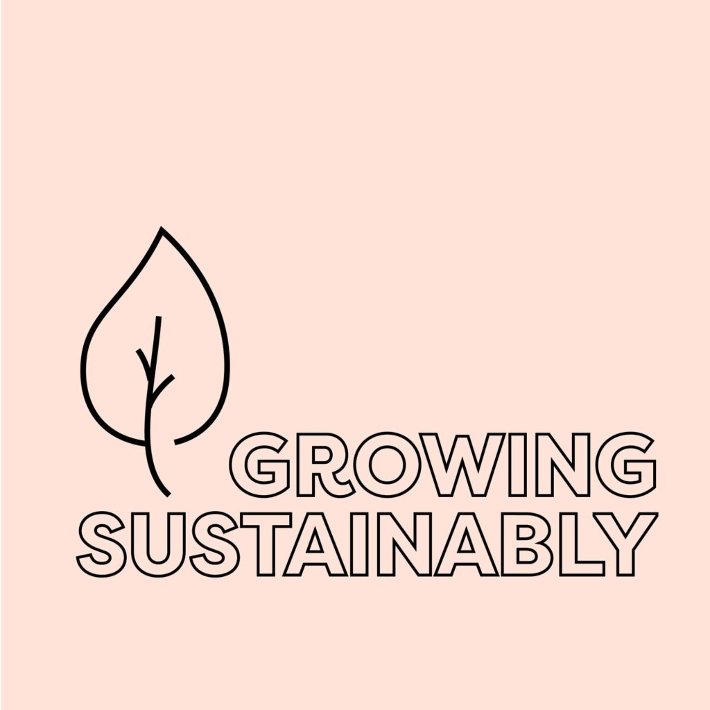 growing hemp sustainably
