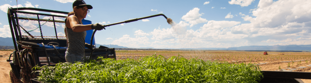 Wholesale CBD Products Farm to Home